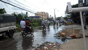 Cá nhân có thể bị phạt đến 1 tỷ đồng nếu vi phạm quy định về bảo vệ môi trường