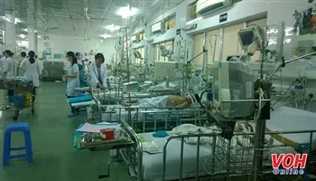 TPHCM: chủ động các biện pháp phòng chống bệnh do vi rút Zika