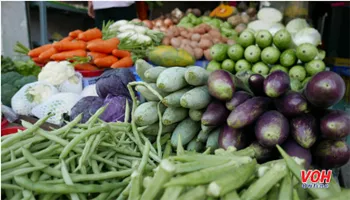 Giá cả thị trường 1/12: giá khoai mỡ vẫn khá cao