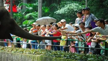 TPHCM: Phê duyệt Đồ án điều chỉnh quy hoạch Thảo Cầm Viên Sài Gòn