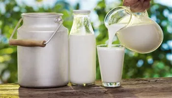 Liệu sữa thô có tốt hơn sữa tiệt trùng?