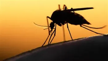 Số ca mắc Zika tại TPHCM không ngừng tăng lên