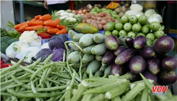 Giá cả thị trường 10/12: Hành lá giảm giá, còn 30 ngàn đồng/kg