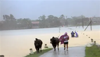 12 người chết và 5 người bị thương do mưa lũ tại miền Trung