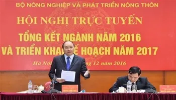 Thủ tướng: Không để thể chế trói buộc sự phát triển nông nghiệp