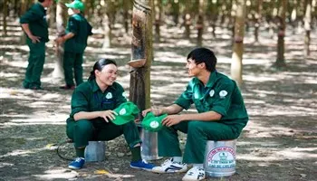 Khai thác mủ vượt kế hoạch, VRG nộp ngân sách hơn 1.100 tỷ đồng