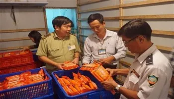 Xử lý nghiêm sai phạm trong kiểm tra sản phẩm xúc xích Vietfoods