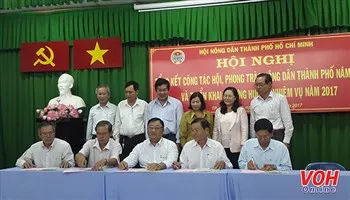 TPHCM: 26.000 hộ đạt danh hiệu nông dân sản xuất, kinh doanh giỏi