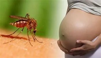 TPHCM có 190 trường hợp nhiễm vi rút Zika