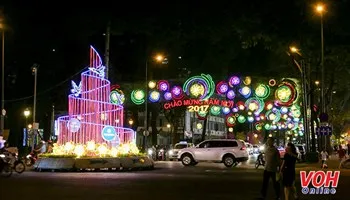 Mãn nhãn với TPHCM lung linh đường đèn đón Tết Đinh Dậu 2017