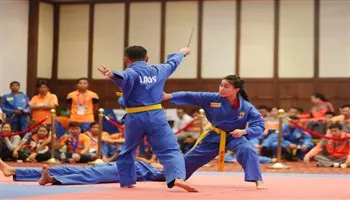 Việt Nam nhất toàn đoàn giải vô địch vovinam Đông Nam Á 2017
