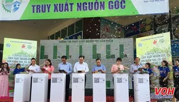 Từ hôm nay 18/1, người dân có thể truy xuất nguồn gốc rau củ quả