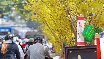 Nhận định xu thế thời tiết Tết Đinh Dậu