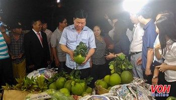 Khai mạc Chợ hoa xuân tết Đinh Dậu 2017 tại chợ Bình Điền
