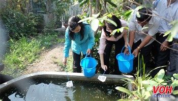 Diệt muỗi, lăng quăng phòng ngừa sốt xuất huyết và Zika