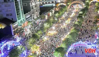 Hơn 1 triệu lượt khách tham quan Đường hoa Đinh Dậu 2017