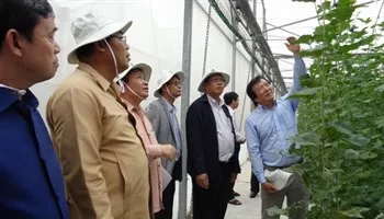 Tỉnh Champasak (Lào) tham quan học tập mô hình nông nghiệp công nghệ cao của TPHCM