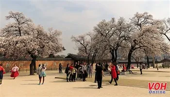 Hàn Quốc hỗ trợ xúc tiến, quảng bá cho các tour từ 12 triệu