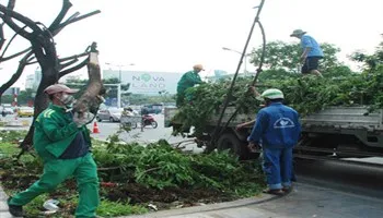 TPHCM di dời hơn 120 cây xanh để xây cầu vượt nút giao Trường Sơn
