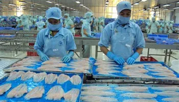 Việt Nam cần làm gì khi cá tra bị “bôi xấu” ở châu Âu?