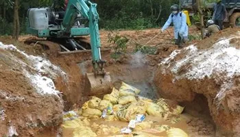 Thêm tỉnh Tây Ninh tái phát cúm gia cầm H5N1