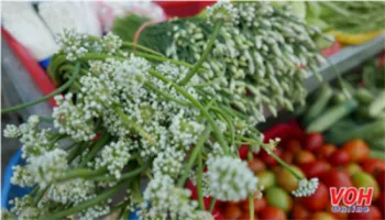 Giá cả thị trường 13/3/2017: Cà chua 15 ngàn đồng/kg