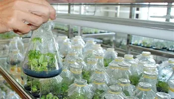 Hỗ trợ khởi nghiệp doanh nghiệp nông nghiệp