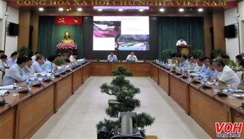 Phấn đấu mỗi năm trồng mới 1 triệu cây xanh