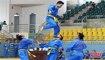 TPHCM vô địch toàn đoàn giải vovinam các đội mạnh toàn quốc 2017