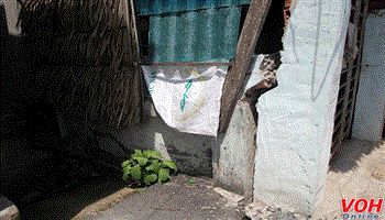 Người dân Nhà Bè mất ngủ vì lo sợ sạt lở: Lãnh đạo TPHCM chỉ đạo khẩn cấp khắc phục