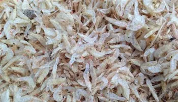 Lừa mua hàng trả chậm, cuỗm luôn tiền của đối tác