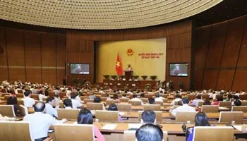Đại biểu băn khoăn vì nhiều vấn đề an sinh xã hội chưa được giải quyết