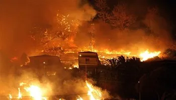 Cháy rừng ở Bồ Đào Nha: Số người chết tăng lên hơn 60 người