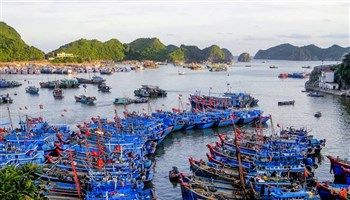Điều chỉnh quy hoạch cảng cá khu vực đảo Cát Bà- Hải Phòng