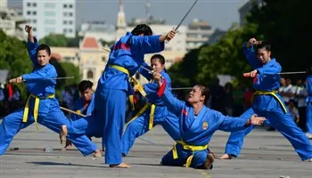 Doanh nhân Mai Hữu Tín đắc cử Chủ tịch Liên đoàn Vovinam Việt Nam