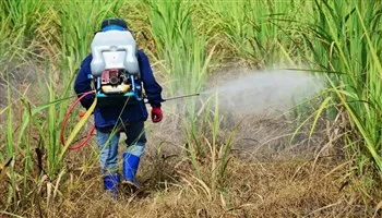 Nhiều loại thuốc diệt cỏ tại Việt Nam chứa chất glyphosate