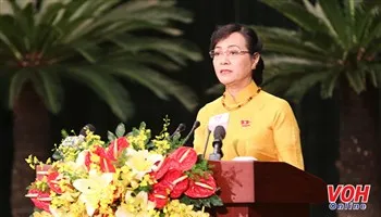 Cử tri mong TPHCM có thêm nhiều giải pháp chống ngập