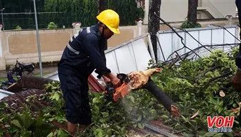 Mưa lớn làm gãy nhánh cây xanh đè sập 2 cửa hàng