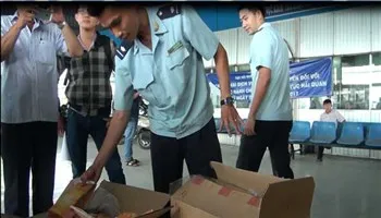 Hơn 1 triệu gói thuốc lá lậu bị bắt giữ khi quá cảnh tại cảng Cát Lái