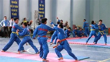 370 VĐV dự giải Việt Võ Đạo năng khiếu TPHCM 2017
