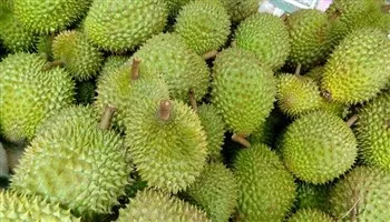 Giá cả thị trường hôm nay 16/7: Sầu riêng Cái Mơn 75 ngàn đồng/kg