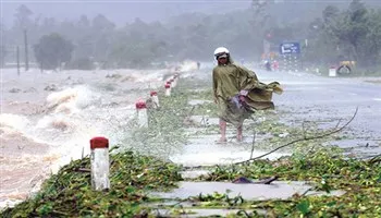 Phát sai bản tin dự báo thiên tai bị phạt tới 50 triệu đồng