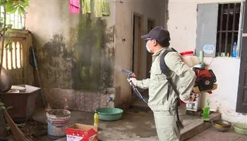 Sốt xuất huyết tại TPHCM tăng gần 20%: nhiều gia đình thờ ơ trong phòng chống dịch