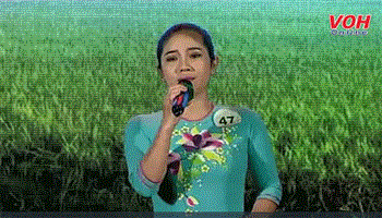 Giải Bông Lúa Vàng (Vòng bán kết - buổi 5) - ngày 29/07/2017