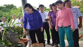 Bộ trưởng Bộ Y tế kiểm tra phường số ca mắc sốt xuất huyết cao nhất Quận 12