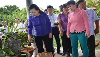 Bộ trưởng Bộ Y tế kiểm tra phường số ca mắc sốt xuất huyết cao nhất Quận 12