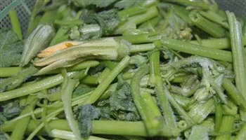 Giá cả thị trường hôm nay 3/8: Bông bí 80 ngàn đồng/kg