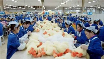 Chốt phương án tăng tiền lương tối thiểu 2018 là 6,5%
