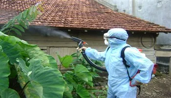 Những lưu ý khi sử dụng dịch vụ diệt côn trùng, diệt khuẩn