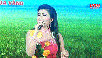 Giải Bông Lúa Vàng (Vòng thi Hơi điệu - Buổi 1) - 12/08/2017